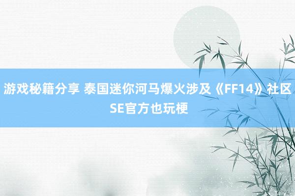 游戏秘籍分享 泰国迷你河马爆火涉及《FF14》社区 SE官方也玩梗