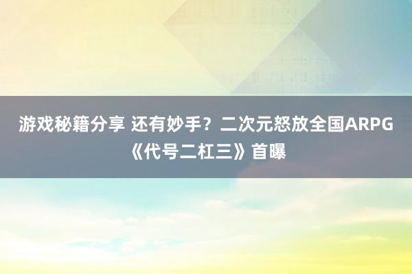 游戏秘籍分享 还有妙手？二次元怒放全国ARPG《代号二杠三》首曝