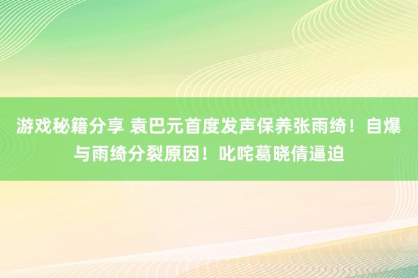 游戏秘籍分享 袁巴元首度发声保养张雨绮！自爆与雨绮分裂原因！叱咤葛晓倩逼迫