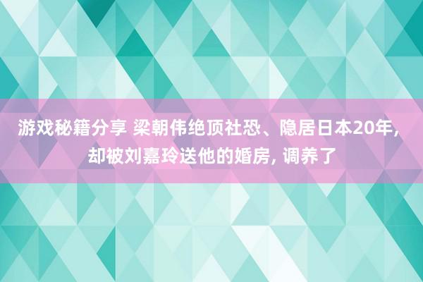 游戏秘籍分享 梁朝伟绝顶社恐、隐居日本20年, 却被刘嘉玲送他的婚房, 调养了