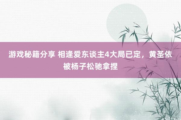 游戏秘籍分享 相逢爱东谈主4大局已定，黄圣依被杨子松驰拿捏