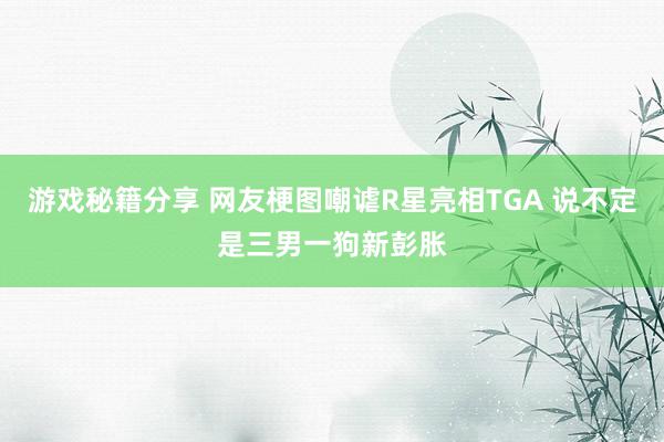 游戏秘籍分享 网友梗图嘲谑R星亮相TGA 说不定是三男一狗新彭胀