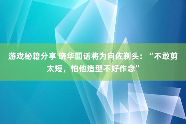 游戏秘籍分享 晓华回话将为向佐剃头：“不敢剪太短，怕他造型不好作念”