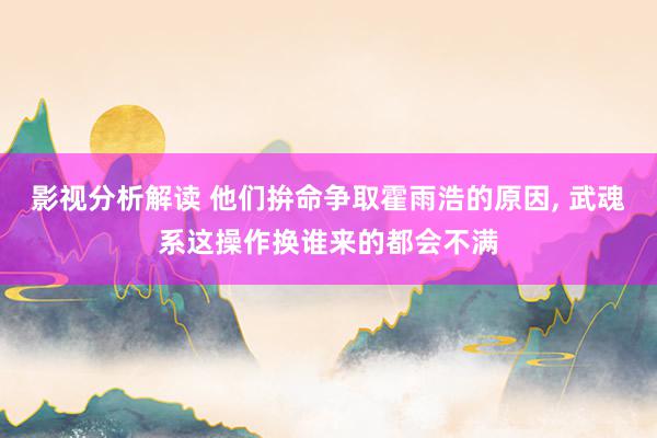 影视分析解读 他们拚命争取霍雨浩的原因, 武魂系这操作换谁来的都会不满