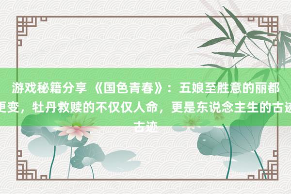 游戏秘籍分享 《国色青春》：五娘至胜意的丽都更变，牡丹救赎的不仅仅人命，更是东说念主生的古迹