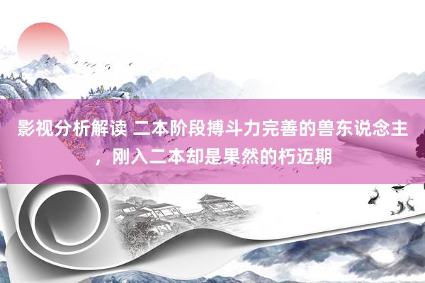 影视分析解读 二本阶段搏斗力完善的兽东说念主，刚入二本却是果然的朽迈期