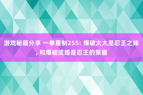 游戏秘籍分享 一拳重制255: 爆破太太是忍王之妹, 和爆破成婚是忍王的策画