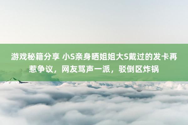 游戏秘籍分享 小S亲身晒姐姐大S戴过的发卡再惹争议，网友骂声一派，驳倒区炸锅