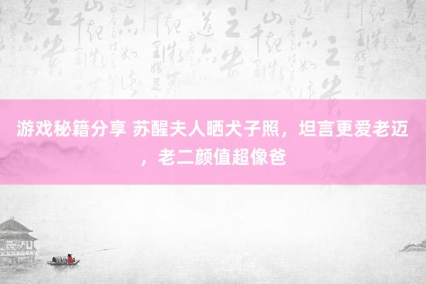 游戏秘籍分享 苏醒夫人晒犬子照，坦言更爱老迈，老二颜值超像爸