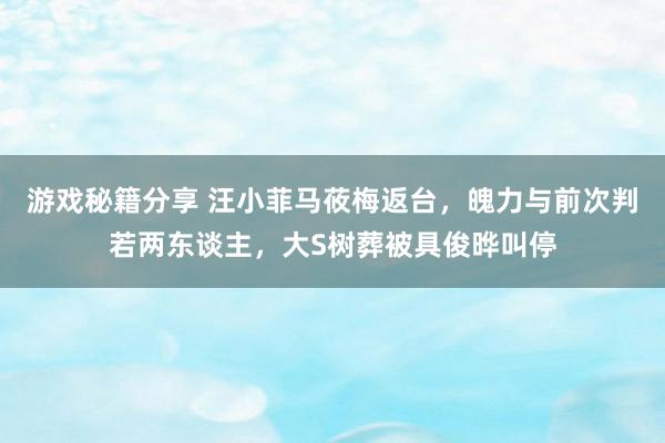 游戏秘籍分享 汪小菲马莜梅返台，魄力与前次判若两东谈主，大S树葬被具俊晔叫停